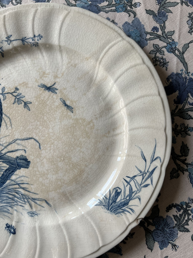 OISEAUX 1 - Assiette plate aux Oiseaux par la manufacture française de Gien - Terre de Fer