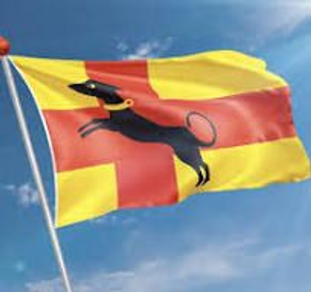 Ruurlo     vlag geel met hond