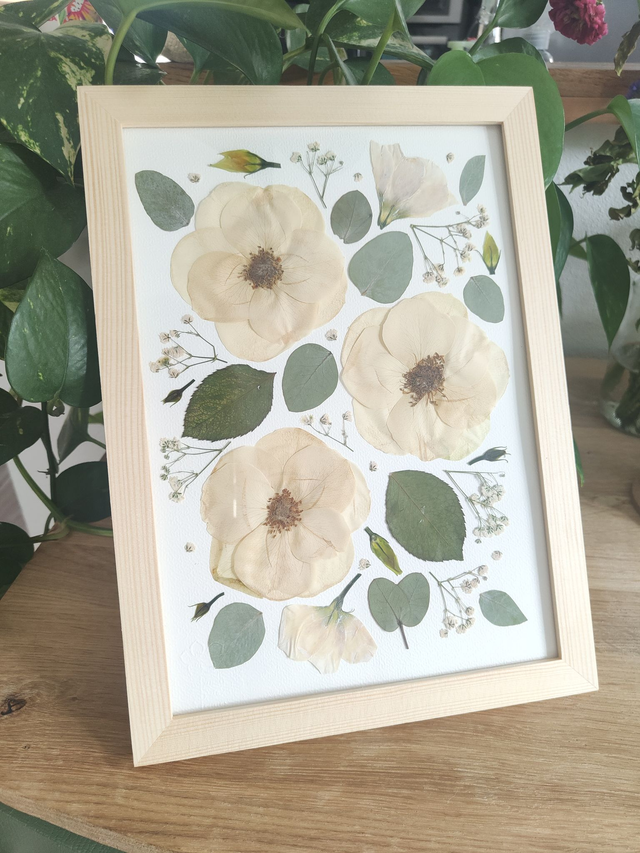 Herbier conservation de bouquet sur papier