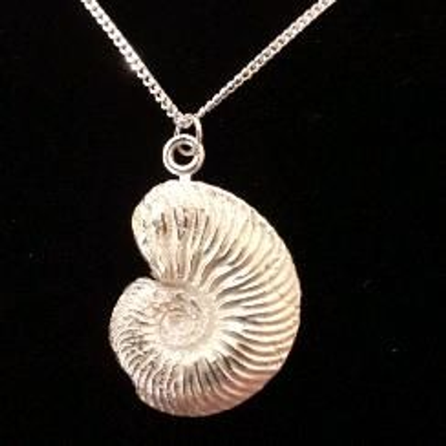 Sterling silver ammonite pendant