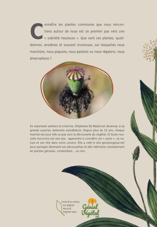Génials Végétals, plantes sauvages et comestibles