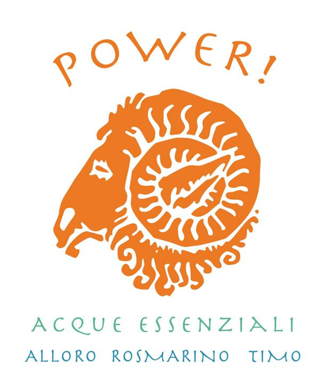 Sinergia POWER: Immunostimulante &amp; Digestivo (500ml)