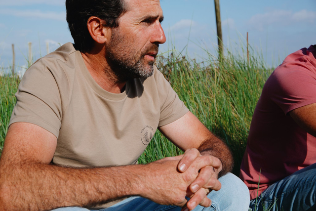 PINÈDE - T-SHIRT COL ROND MARRON 