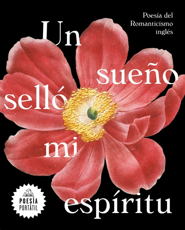 Un sueño selló mi espíritu - Varios autores