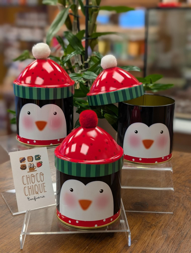 Boîte de Noël + Bonnet " Pingouin "