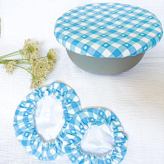 Lot de Charlottes alimentaires Vichy