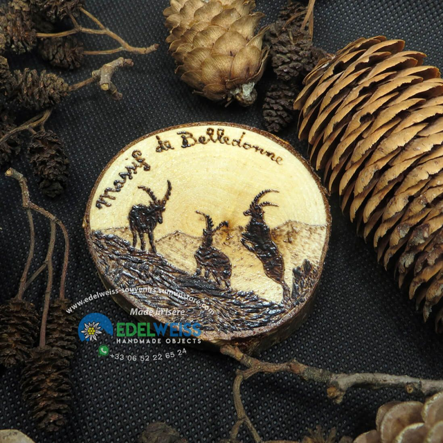 Belledonne - bouquetins