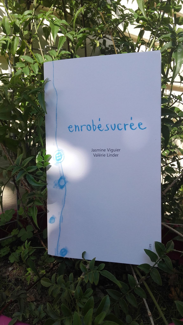 LIVRE - Enrobésucrée