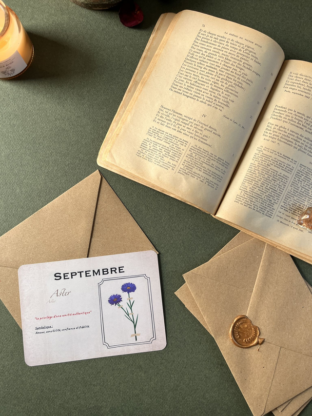 Carte 09. Septembre, l&#039;Aster
