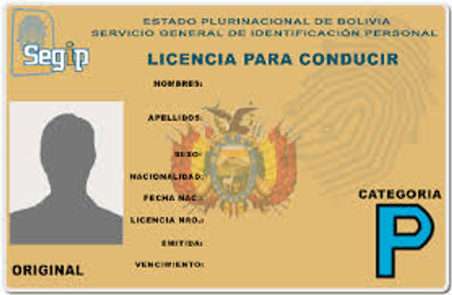 Permis de conduire (Bolivie)