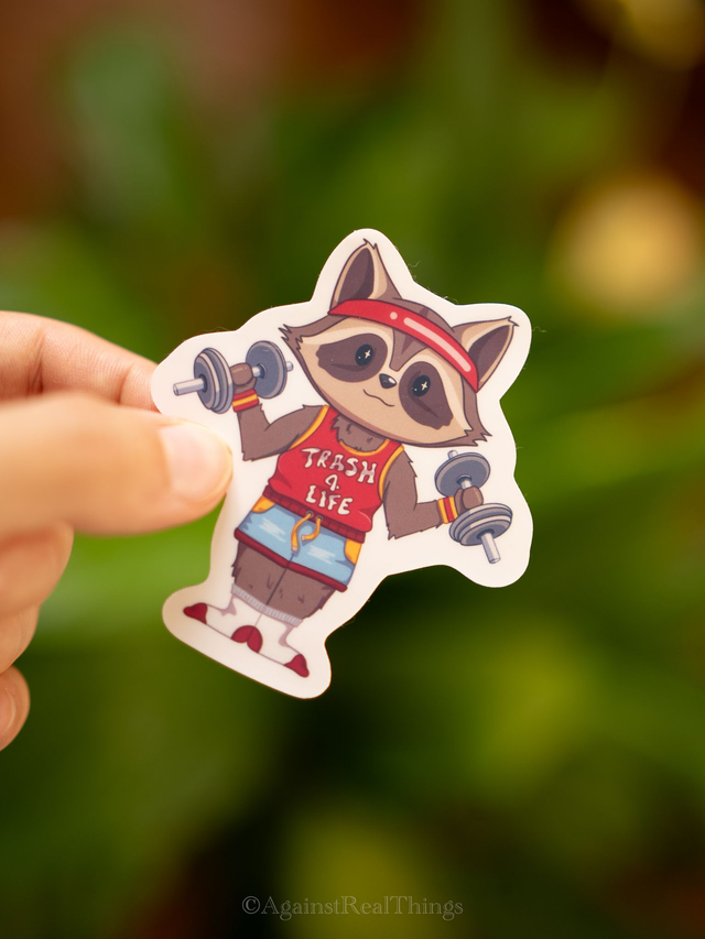 Sticker Training Raccoon Mat