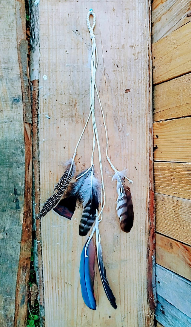 Anelli Danzanti di Piume 