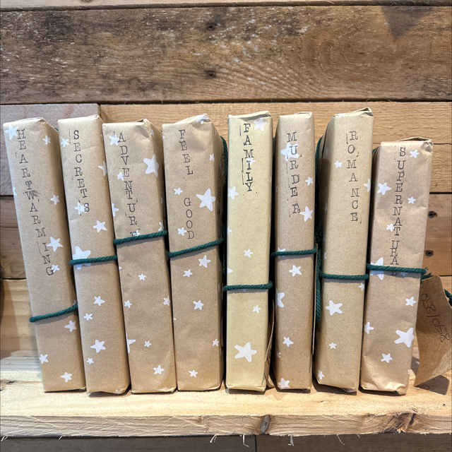 Mystery Long Paperback Story 