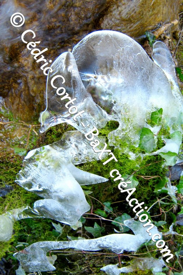 Impression sur alu dibond - Paysages et divers (ref 9410)