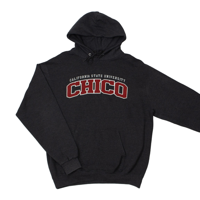 Sweat à capuche Champion