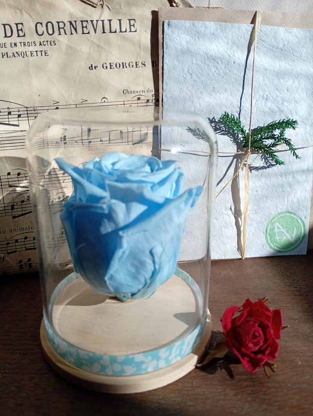 S05 unique rose bleu