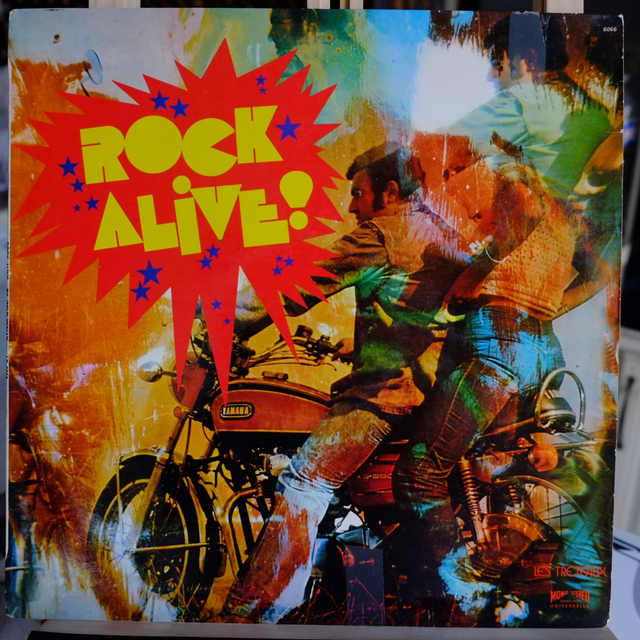 Rock Alive - By Wild Wally