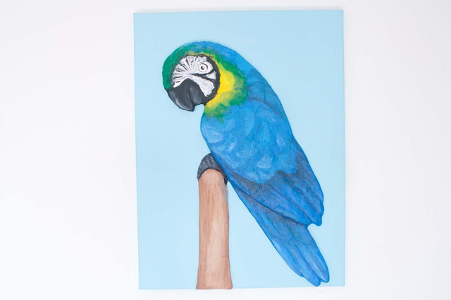 'Blue and Gold Macaw'  Original 3D Acrylic Painting by Artist Purple Faye.