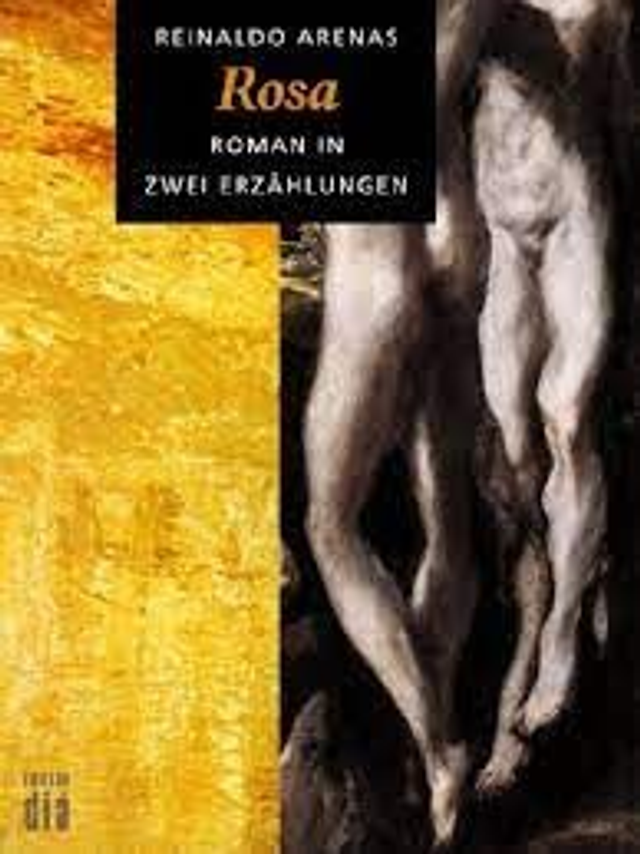 Rosa Roman in zwei Erzählungen - Reinaldo Arenas