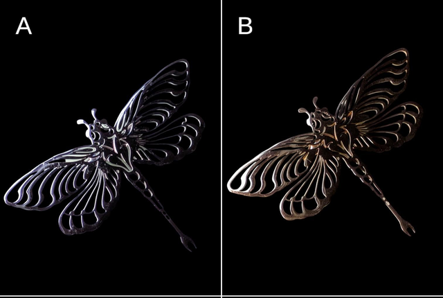 Broche libellule 