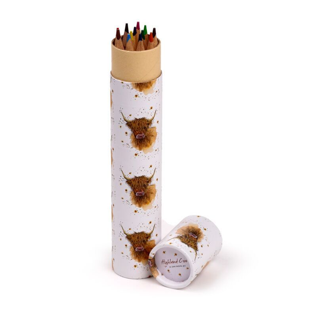 Large Colouring Pencil Tube - Jan Pashley Highland Coo