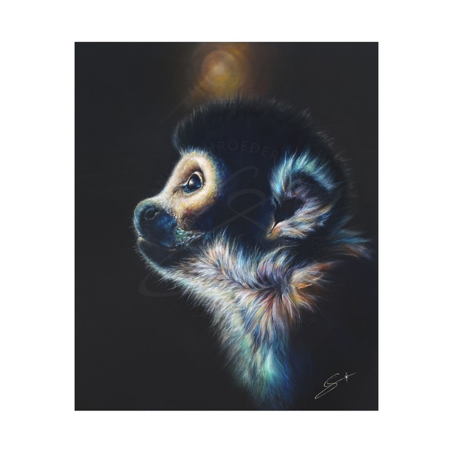 Saimiri &quot;Candeur&quot;