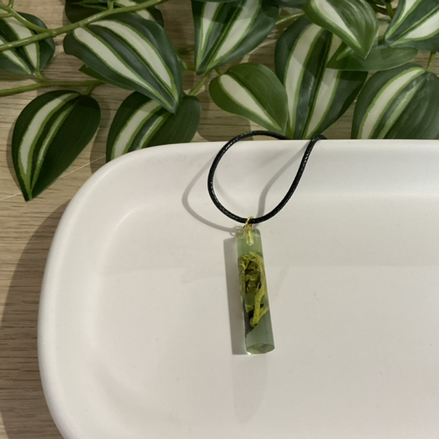 Natur: Halskette #K0069