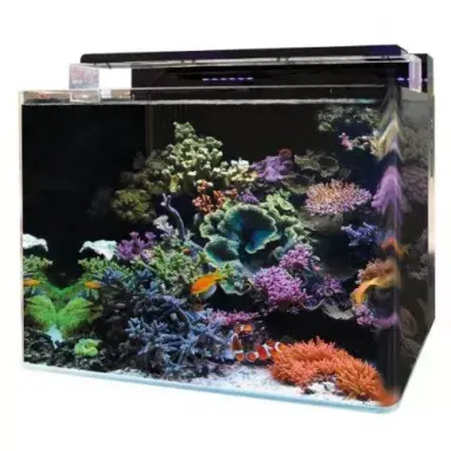 BM REEF 120 AQUARIUM 8715897337000