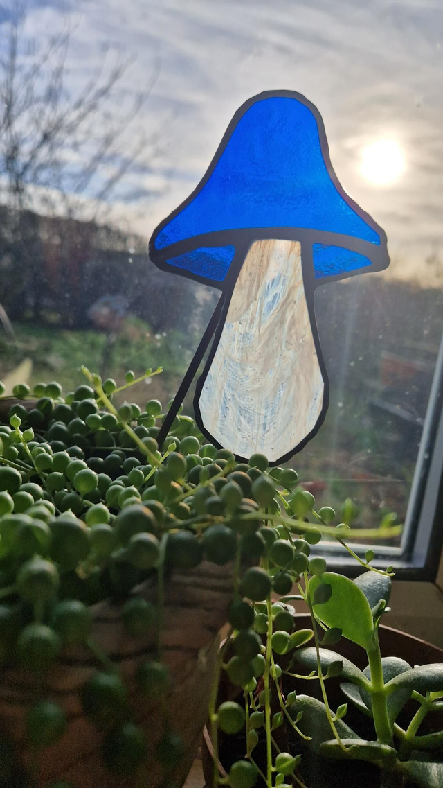 Mushdude plant buddy