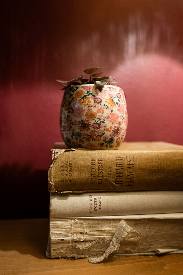 Floral Vintage 💮 Cache-pot + Peperomia