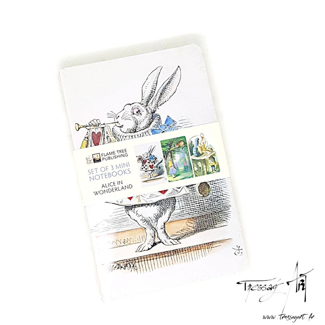 FLAMETREE - LOT 3 CARNETS DE NOTES ALICE AU PAYS DES MERVEILLES - TB007