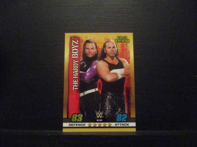 The Hardy Boyz - Tag Team Slam Attax 10th Edition Original Trading Card #310