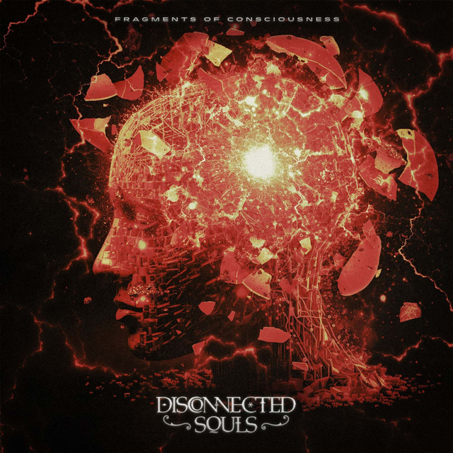 Disconnected Souls - Fragments Of Consciousness [CD]/LRP