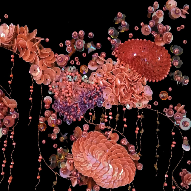 Anémone Orange corail