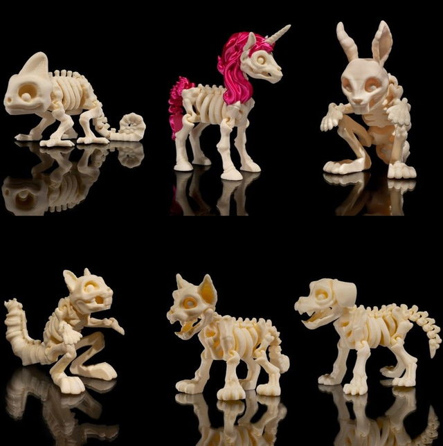 Animaux flexibles : Les petits squelettes (partie 2)