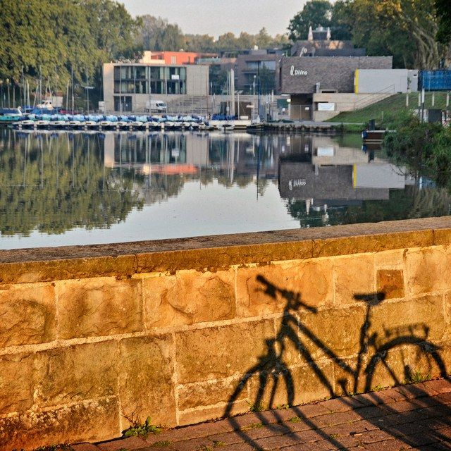 Fahrradschatten am Aasee