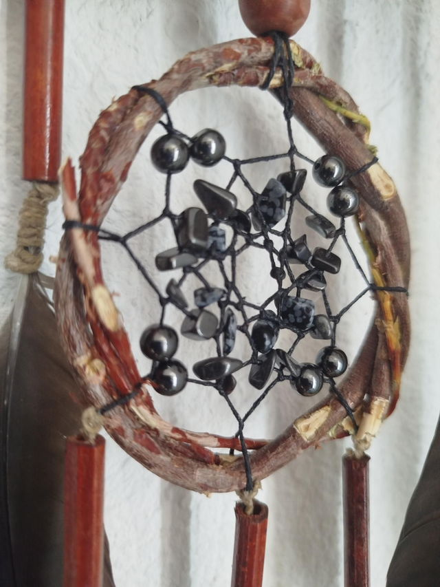 ABN-Salvia Witchy