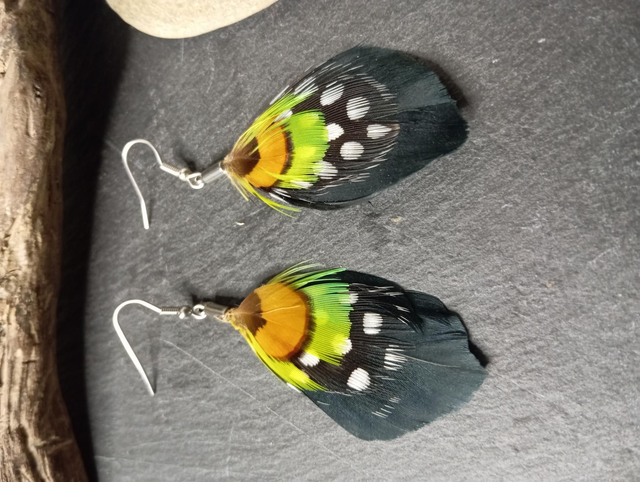 Collection Pintade and Co 