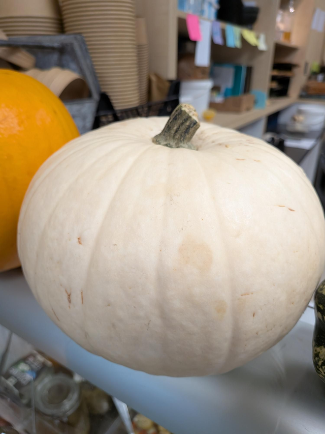 Pumpkin ghost 👻