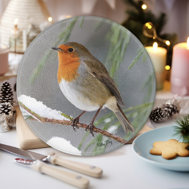 “Winter Robin” Round Worktop Saver  