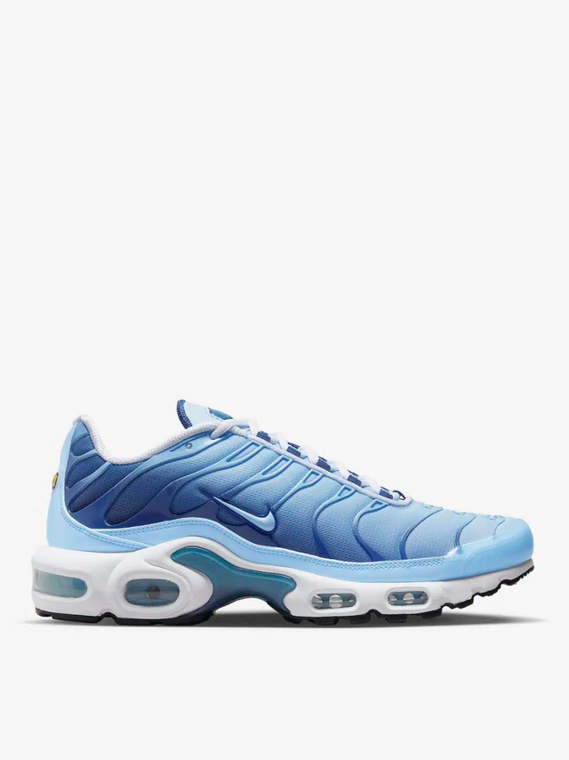 Nike Air Max Plus Celestine Blue (Taille 41)