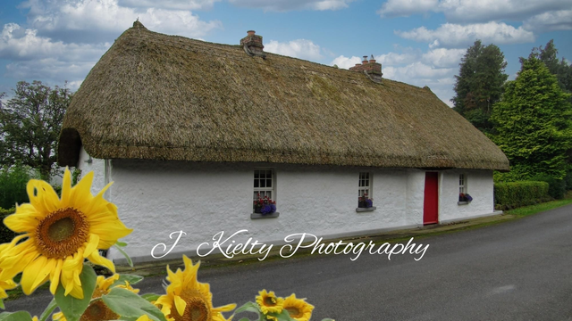 A Thatched Cottage in Rural County Westmeath. 