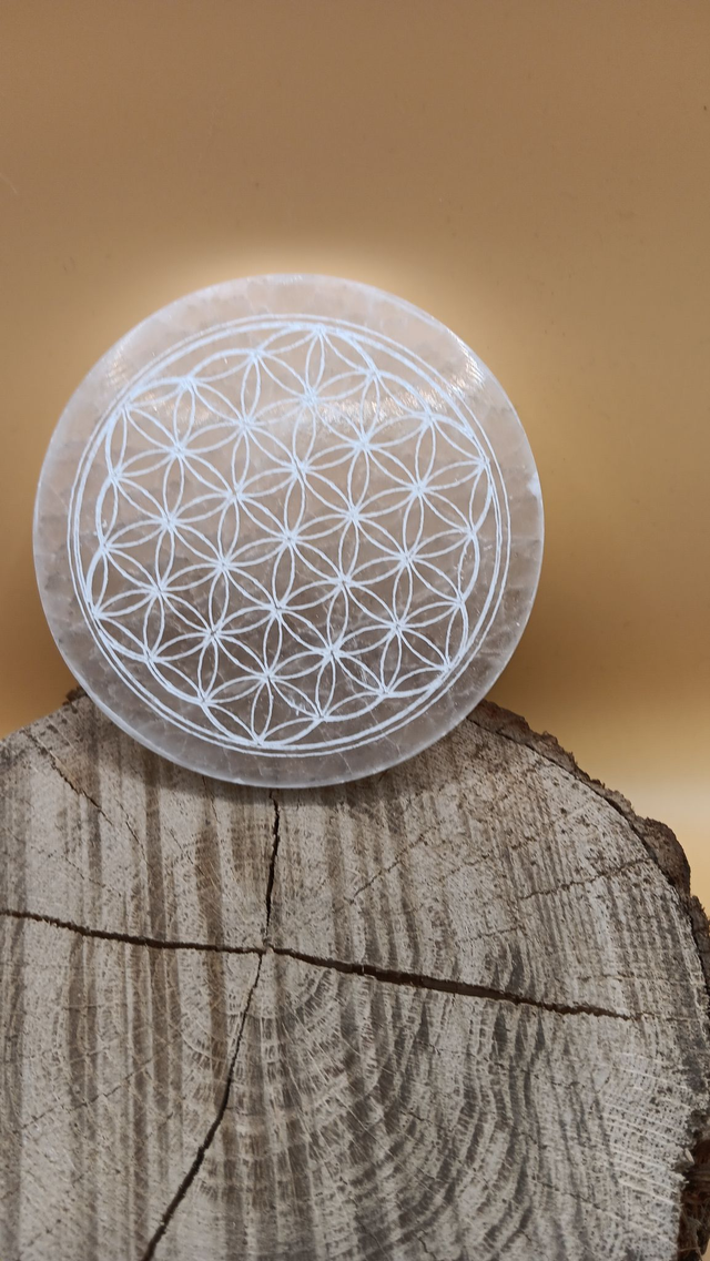 Plaque Fleur de vie en Sélénite 10 cm