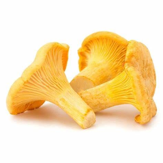 Girolles Barquette