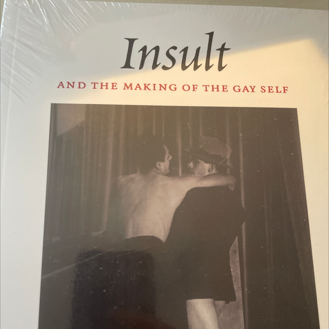 Insult And The Making Of The Gay Self Didier Eribon