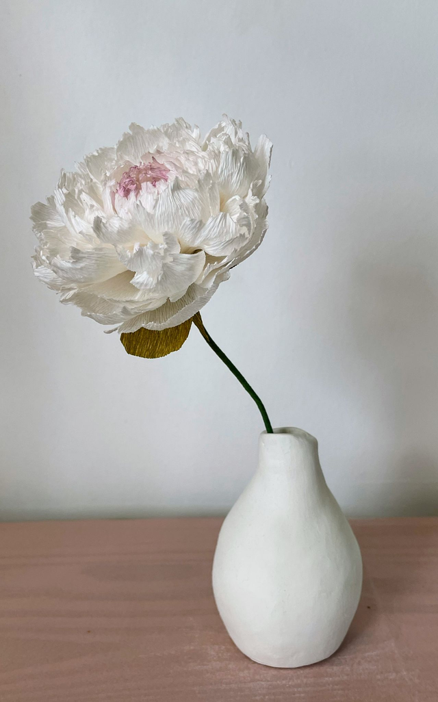 Pivoine "Almaé" avec son vase artisanal offert