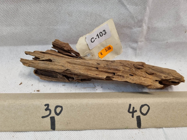 Racine Mangrove C-103