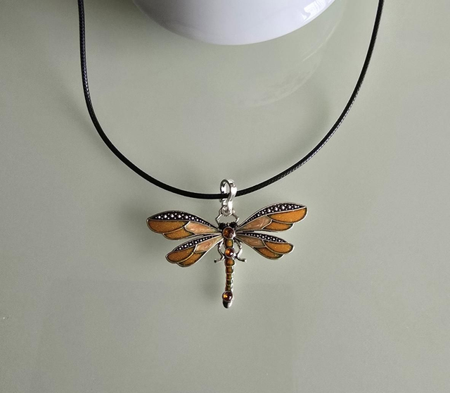 Szitakötők több színben. 