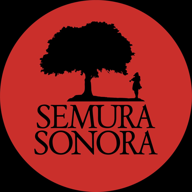 Cuota Socio | Asociación Ensemble Semura Sonora