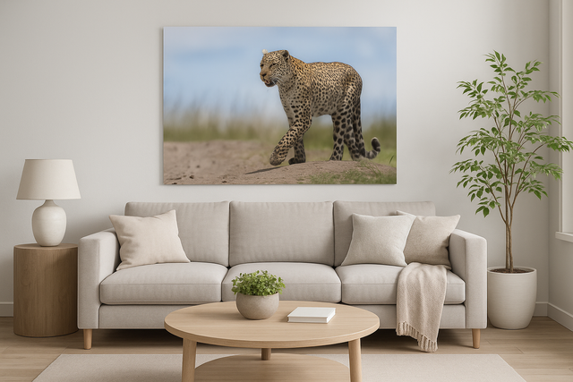 Leopardo laterale Stampa Fine-Art su carta cotone Hahnemūhle Photo Rag Ultra Smooth 305 gr montata su pannello piuma spessore 15 mm